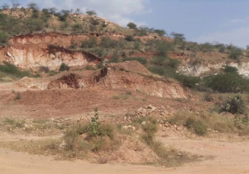 Matruvan Yojana to Transform Aravalli Hills, Plantation to Begin in 3 Villages